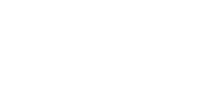 Curved Culture