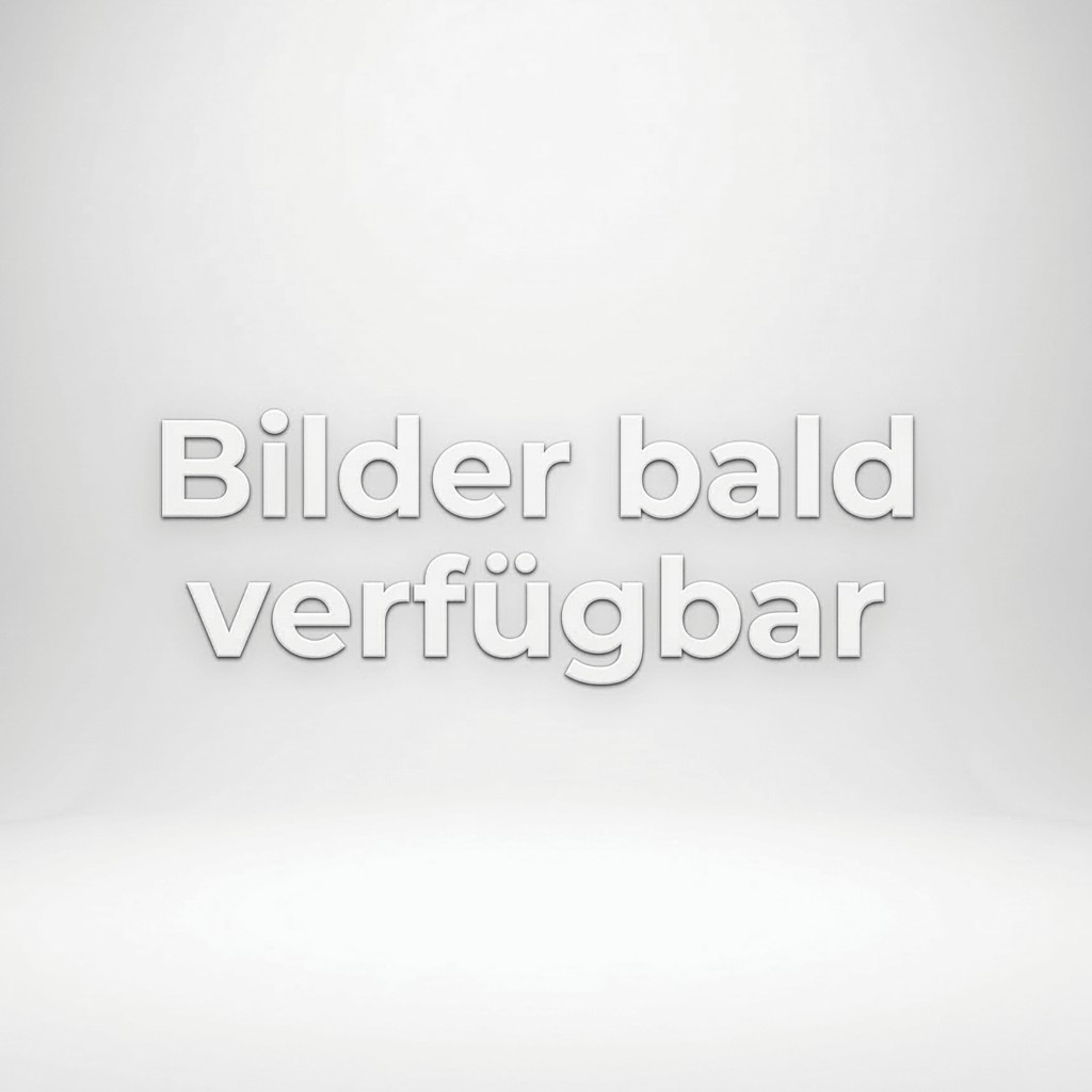 Porsche 992 Carrera 4 GTS Cab I Sitzbelüftung I APPROVED